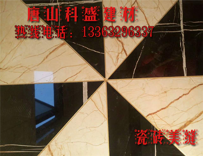 421441.jpg